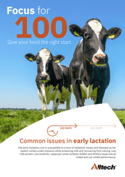 en-ie-eu-focus-for-100-top-tips-flyer-a4-14833-office-1