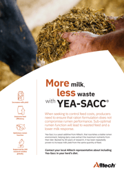 en-ie-eu-yea-sacc-flyer-dairy-a4-1585-office-1