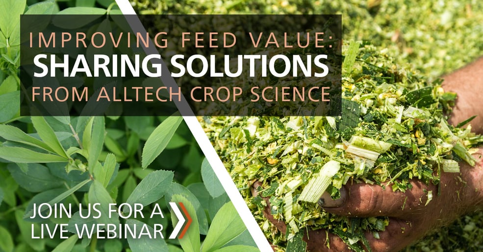 forage webinar 1200x628