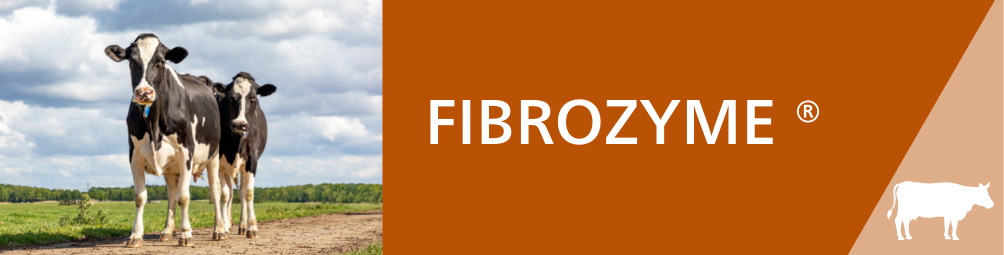 header fibrozyme