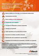 protocolo esencial