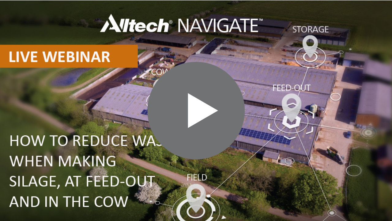 Alltech UK Navigate webinar series 2020