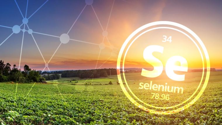 selenium 1200x675_web-1