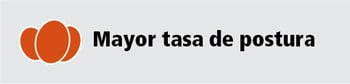 tabs-02
