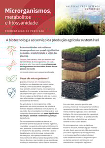 webimage-496D538B-7644-4F49-933F048026F7ED07