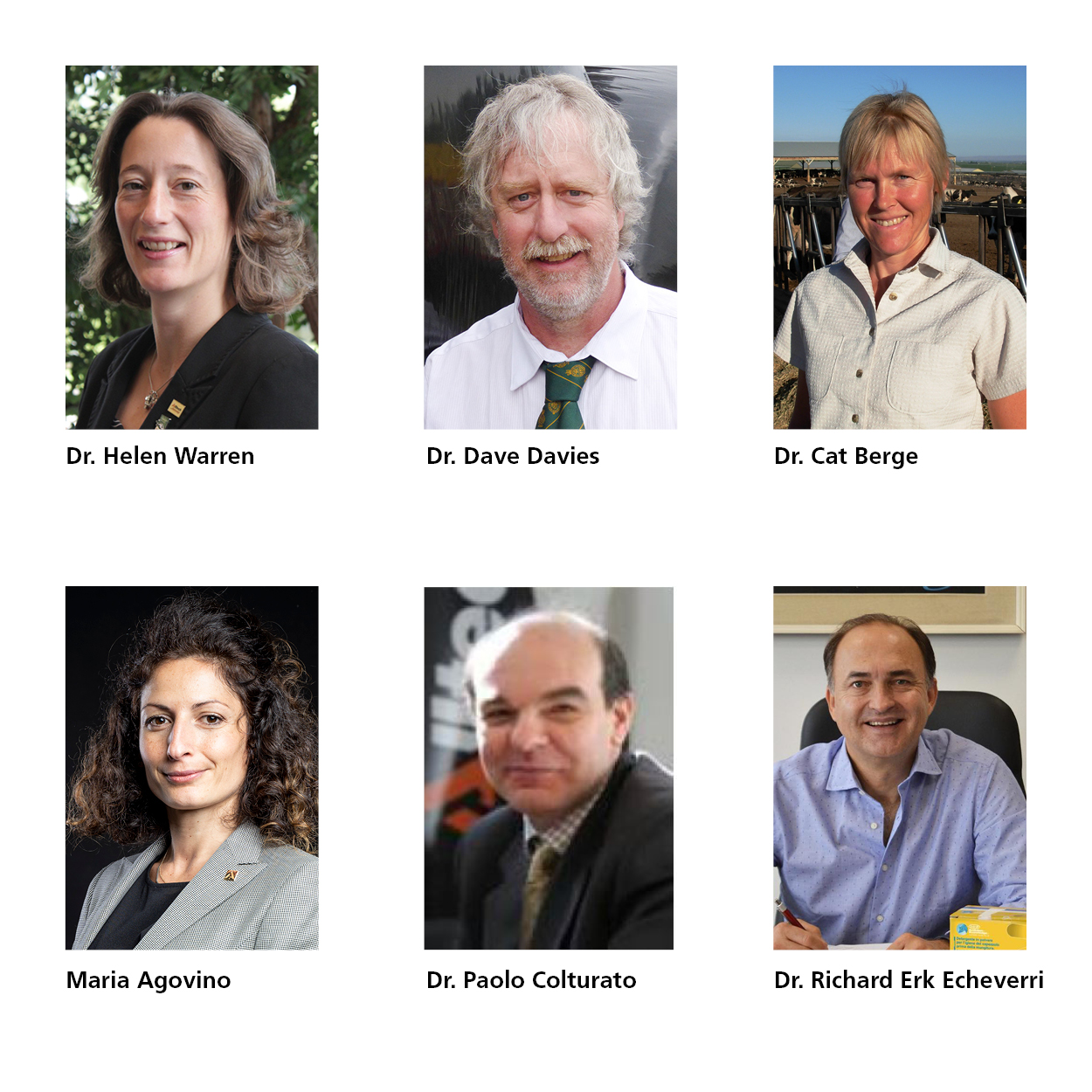 10964_Headshot image