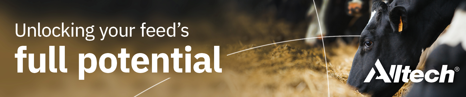 12376 Feed Utilisation Campaign Landing Page Header