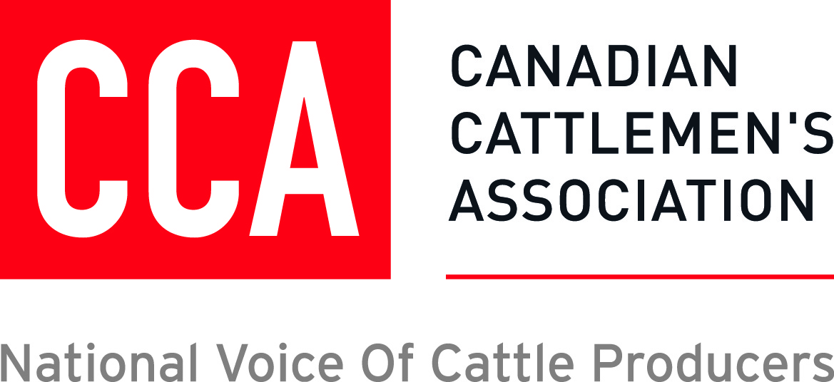 CCA Logo 2 High Res-1