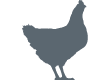 Icon-Poultry-431_1