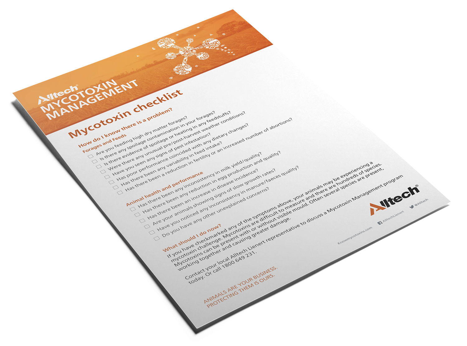 MycotoxinChecklist-graphic