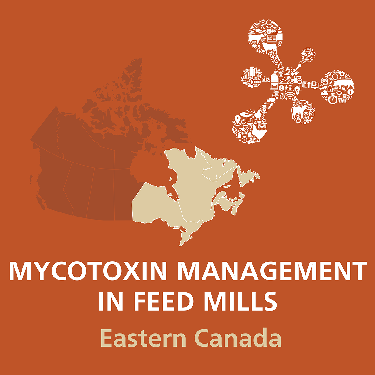 MycotoxinManagermentFeedMills-Eastern-Canada