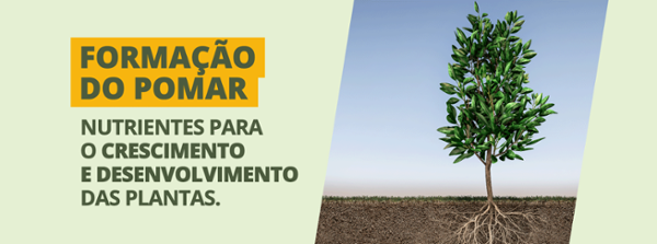 Formação do Pomar