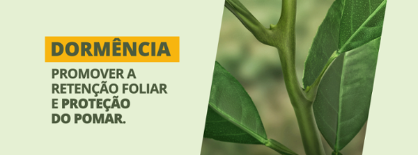 Dormência