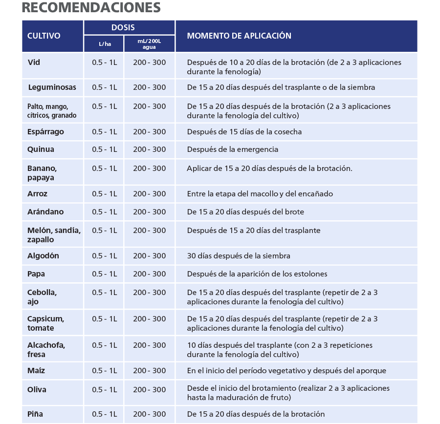 Recomendacion (1)