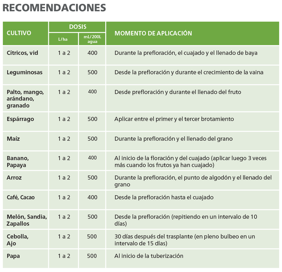 Recomendacion (2)