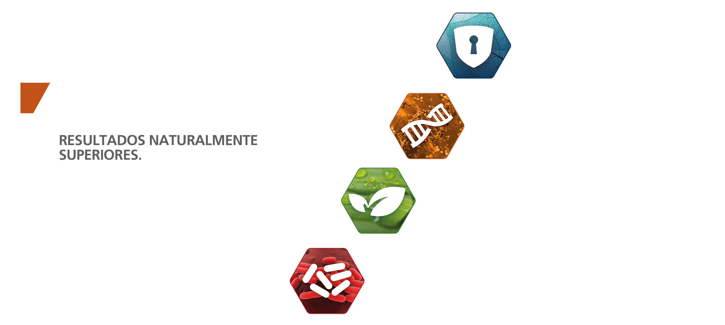 Soluciones crop-06