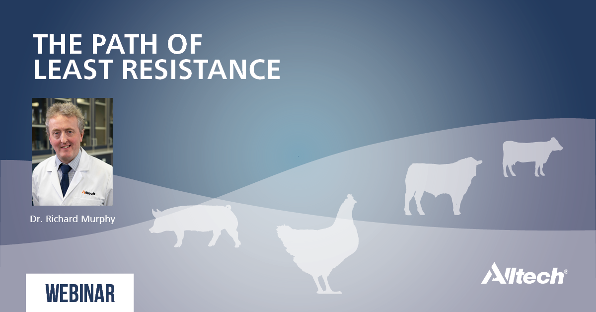 The Path of Least Resistance - Antibiotics Resistance