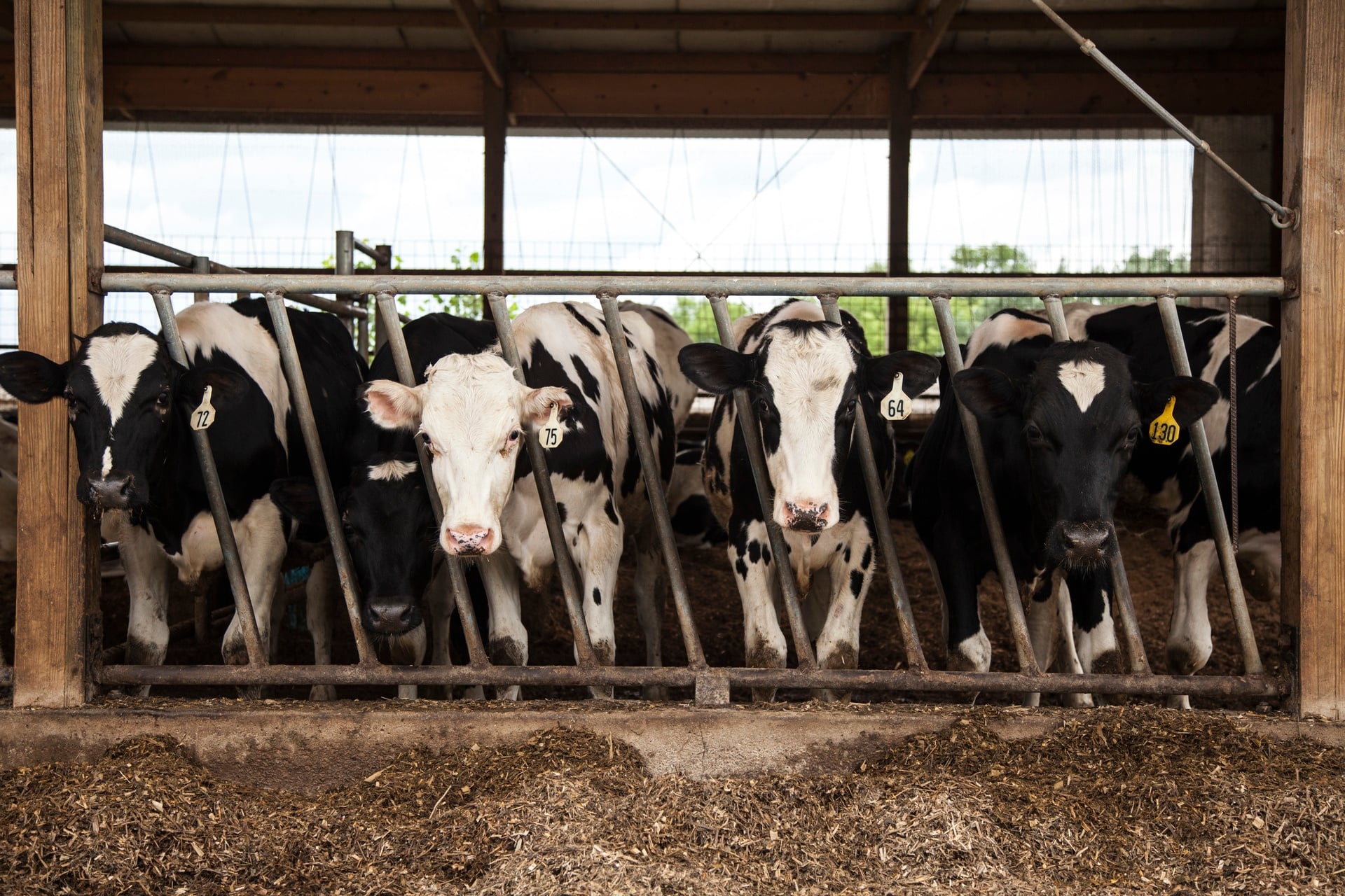 Alltech® Canada 2022 Webinar