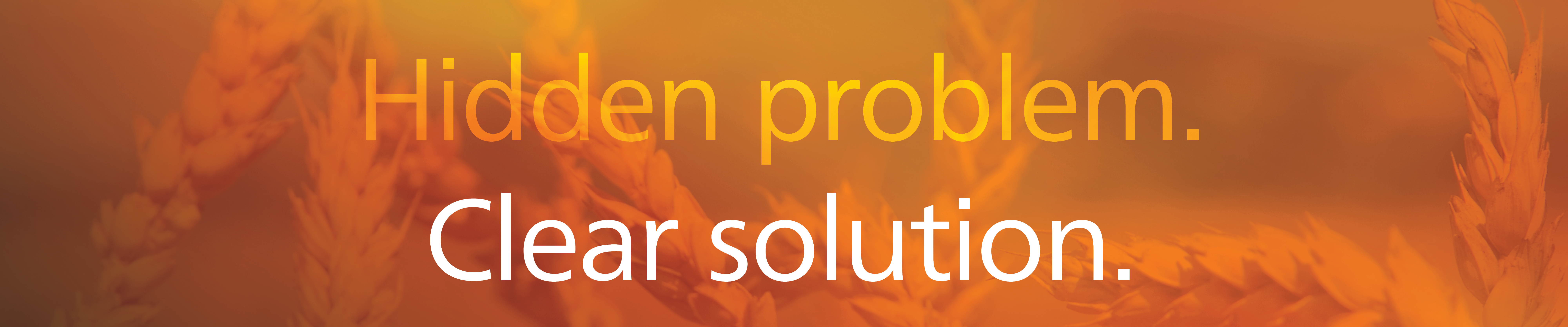 WebsiteBanner2022