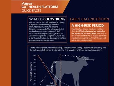 colostrum-factsheet