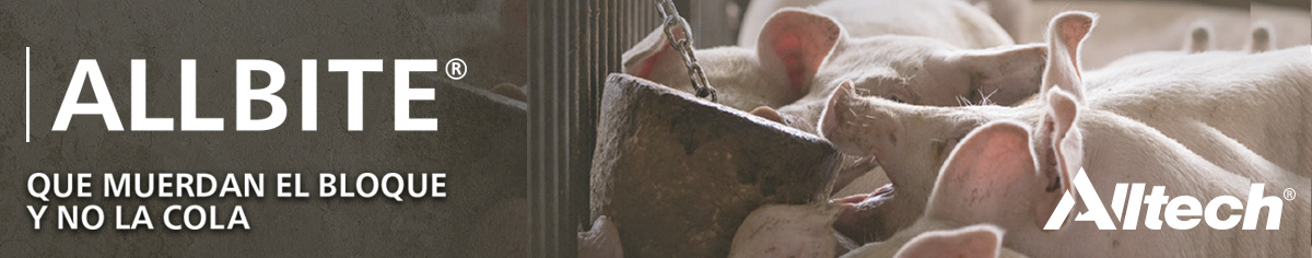 header_allbite