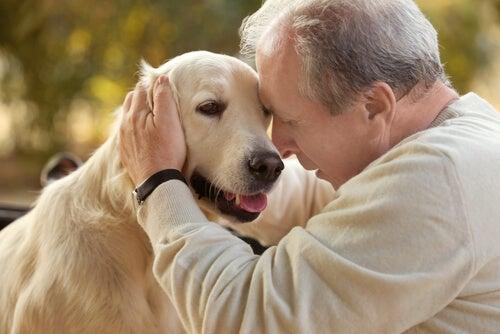 hombre-mayor-con-perro