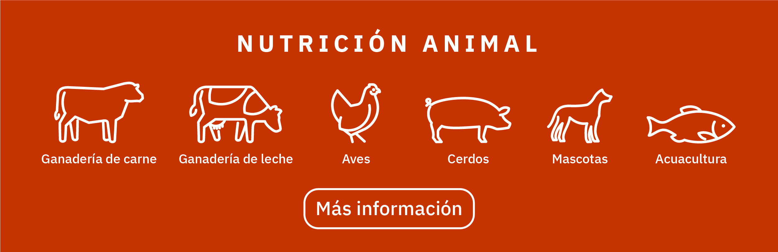 landing colombia 23 años-02