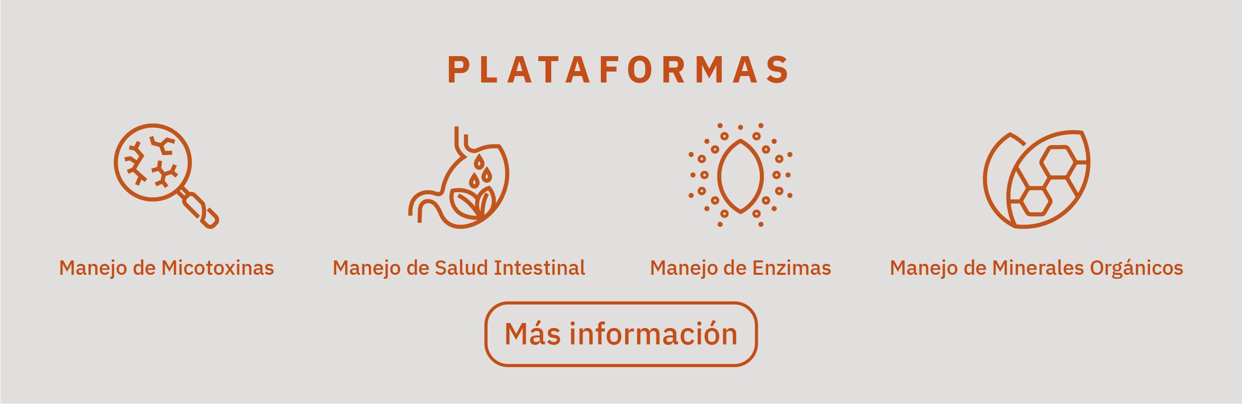 landing colombia 23 años-03