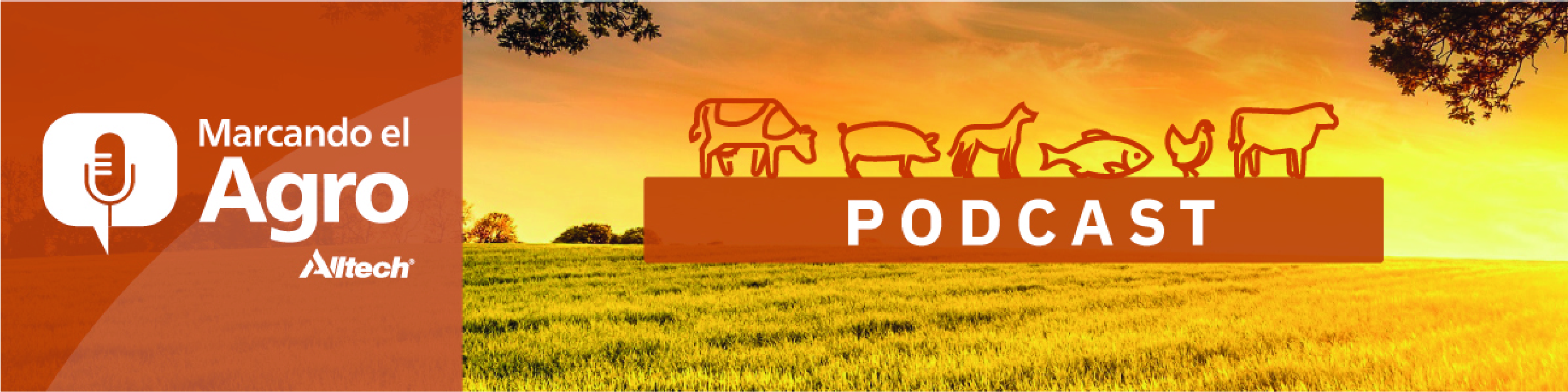 landing colombia 23 años-04